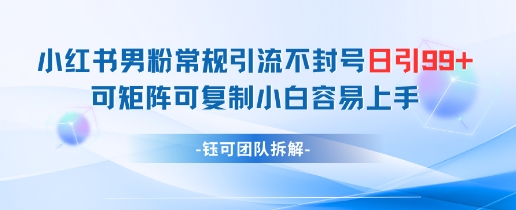小红书男粉常规引流不封号日引99+变现简单 可矩阵可复制小白容易上手星浩好项目网-专注分享网络创业项目落地实操课程 – 全网首发_高质量创业项目输出星浩好项目网