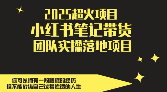 2025超火项目,副业最佳选择,小红书笔记带货团队实操落地项目,,轻松日入5张星浩好项目网-专注分享网络创业项目落地实操课程 – 全网首发_高质量创业项目输出星浩好项目网