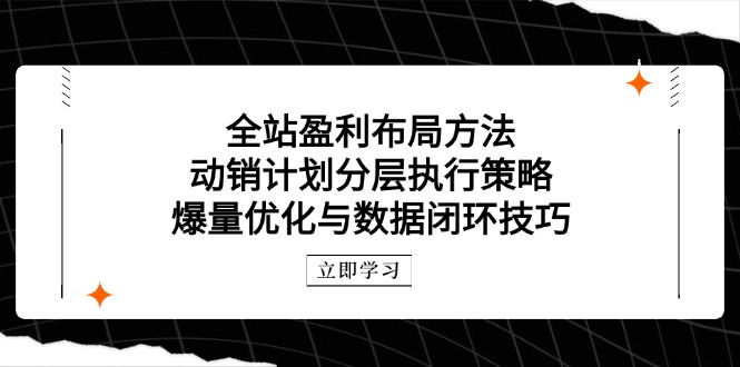 全站盈利布局方法:动销计划分层执行策略,爆量优化与数据闭环技巧星浩好项目网-专注分享网络创业项目落地实操课程 – 全网首发_高质量创业项目输出星浩好项目网
