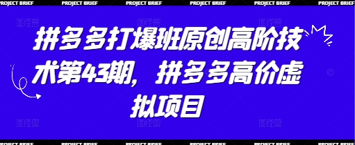 拼多多打爆班原创高阶技术第43期，拼多多高价虚拟项目星浩好项目网-专注分享网络创业项目落地实操课程 – 全网首发_高质量创业项目输出星浩好项目网