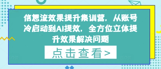 信息流效果提升集训营，从账号冷启动到AI提效，全方位立体提升效果解决问题星浩好项目网-专注分享网络创业项目落地实操课程 – 全网首发_高质量创业项目输出星浩好项目网